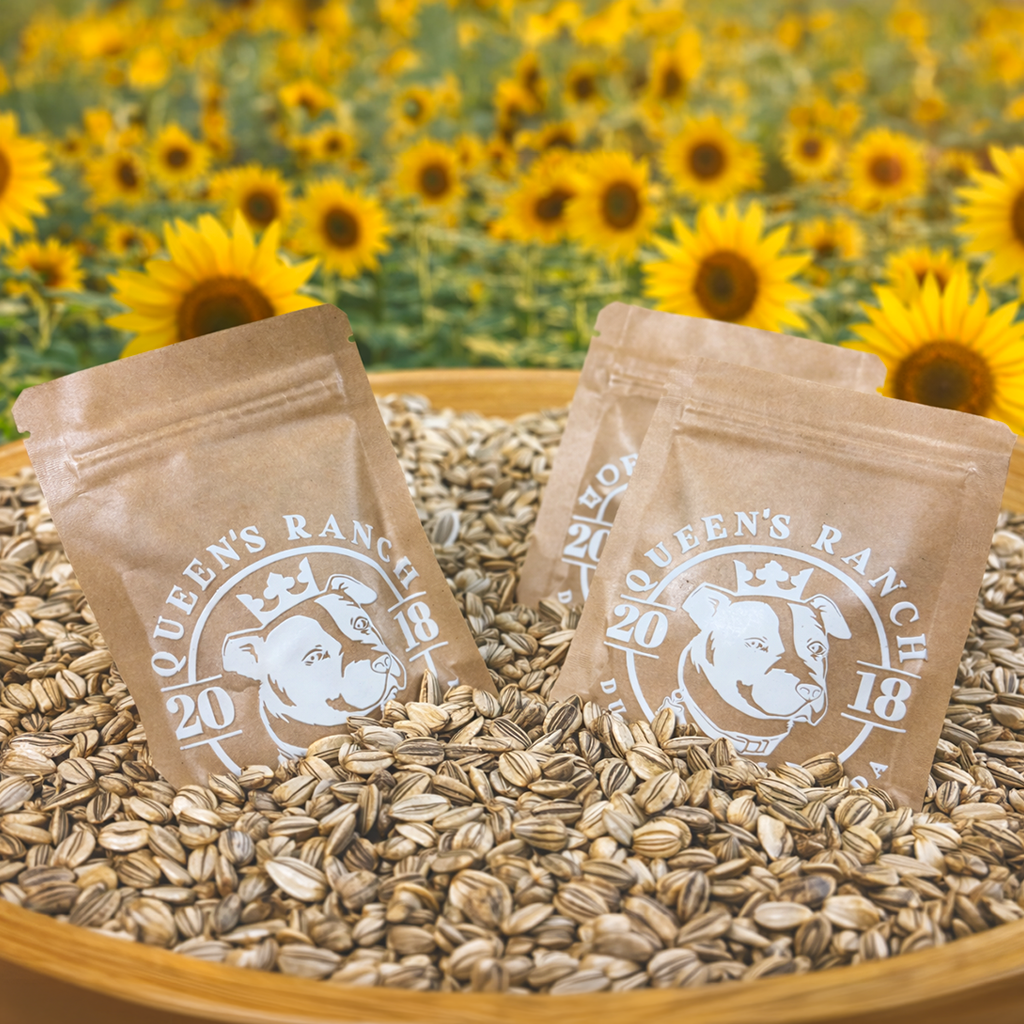 Mammoth Sunflowers Seeds (100 Seeds)